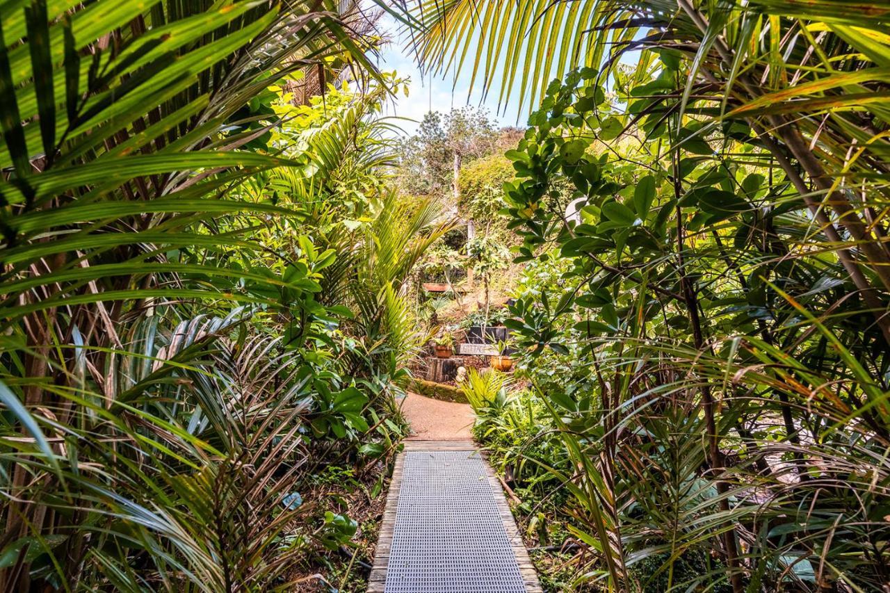 Boho Hill Waiheke Island Villa Palm Beach Exterior foto