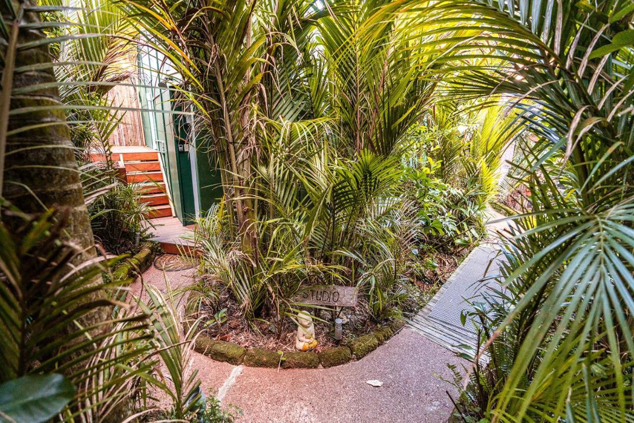 Boho Hill Waiheke Island Villa Palm Beach Exterior foto
